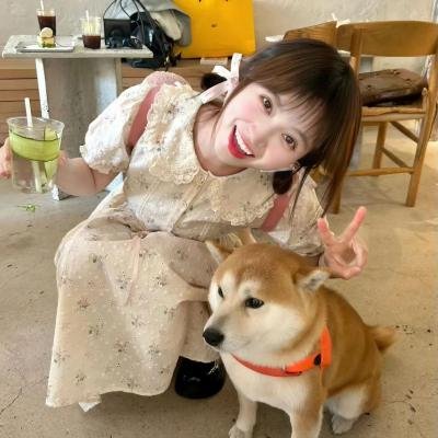 歌舞团的女人们